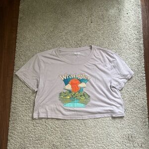 Wrangler Mushroom Graphic Tee in Light Gray